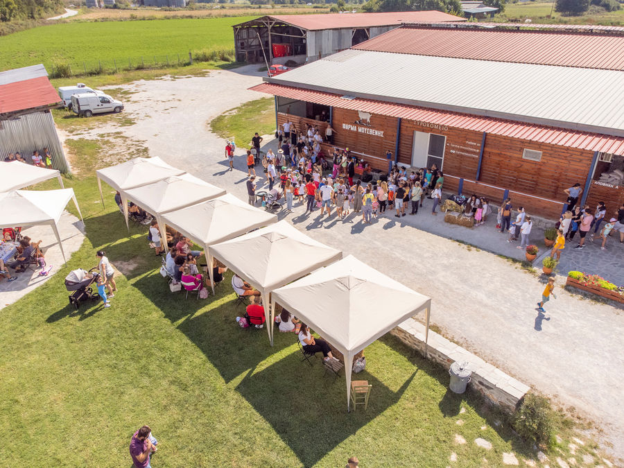 Mousthenis Farm - Gastronomy Tours Mousthenis Farm
