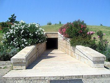 Vergina Odyssey: History, Wine, and Gastronomy in One Day