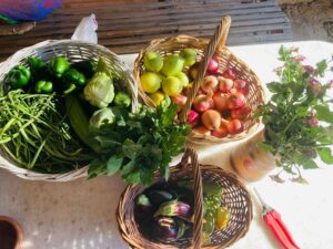 Viya-Dining-2.JPG
