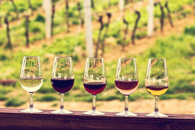 Wine Tasting & Gastronomy: Best Greek Wine tours