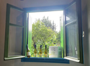 WINES_1.webp
