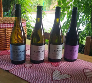 WINES_4.webp