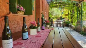 WINES_5_5.webp
