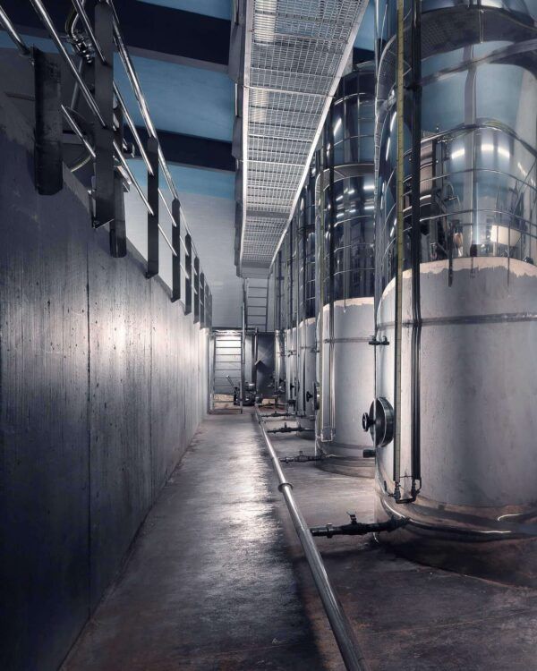 Olive Ergo Anagnostopoulos Olive Oil Mill Tour & Tasting Experience in Messinia - Gastronomy Tours Olive Ergo Anagnostopoulos Olive Oil Mill Tour & Tasting Experience in Messinia