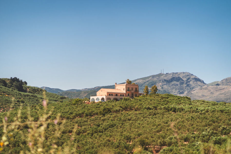 Biolea Astrikas Estate - Gastronomy Tours Biolea Astrikas Estate