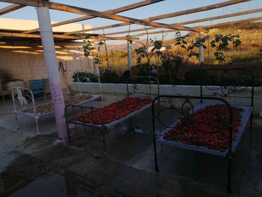 Cooking and Sharing a Seasonal ‘Remedy Meal’ at The Little Farm of Naxos - Gastronomy Tours Cooking and Sharing a Seasonal ‘Remedy Meal’ at The Little Farm of Naxos