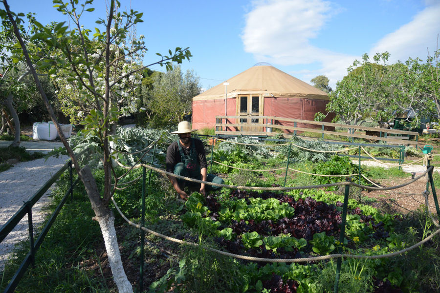 The Orchard in Vari - Gastronomy Tours The Orchard in Vari