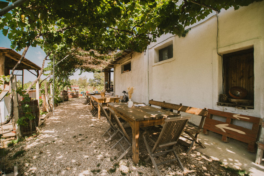 Cooking Class at Pontiglio Winery - Gastronomy Tours Cooking Class at Pontiglio Winery