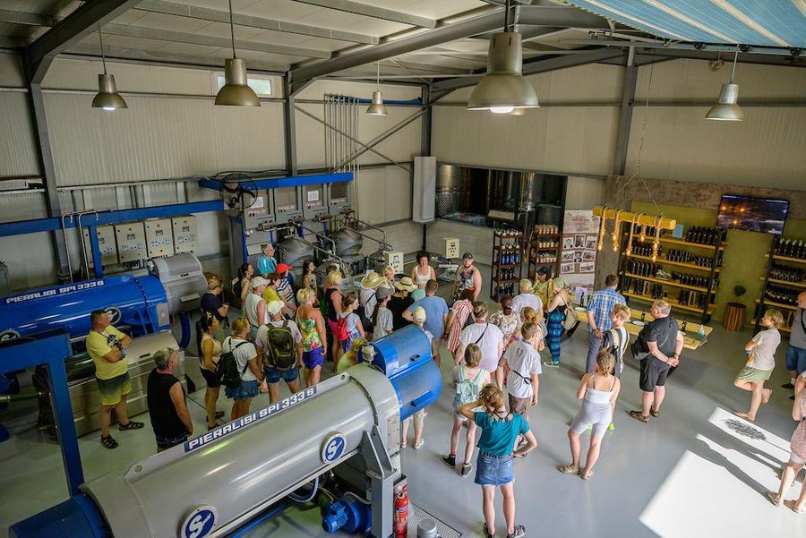 Oilympian Koufolias - Olive Oil Mill - Gastronomy Tours Oilympian Koufolias – Olive Oil Mill