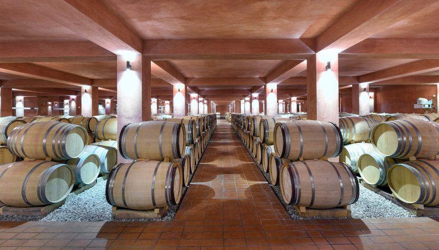 Alpha Estate Winery Tour & Wine Tasting in Florina, Greece - Gastronomy Tours Alpha Estate Winery Tour & Wine Tasting in Florina, Greece