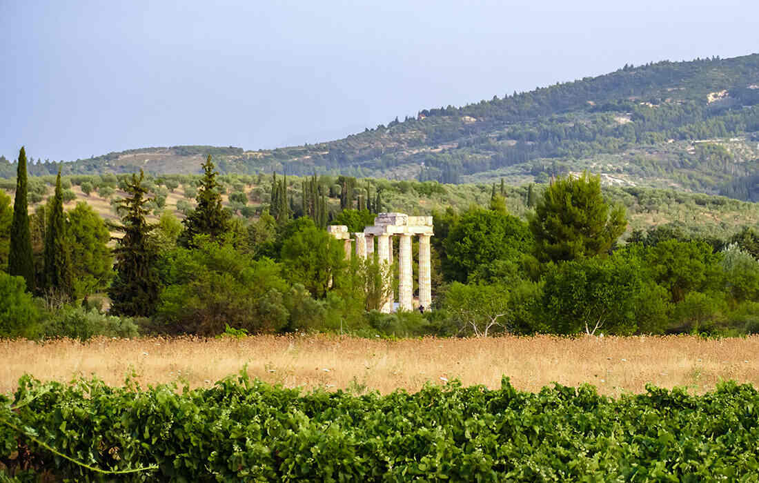 Nemea food tours