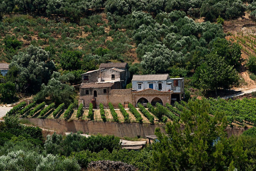 Anoskeli - Olive Oil & Winery Tour with Tasting in Crete - Gastronomy Tours Anoskeli – Olive Oil & Winery Tour with Tasting in Crete