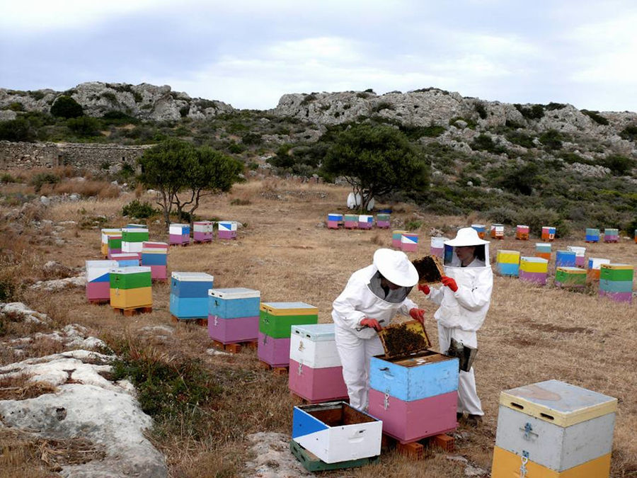 Beekeeping Athamari