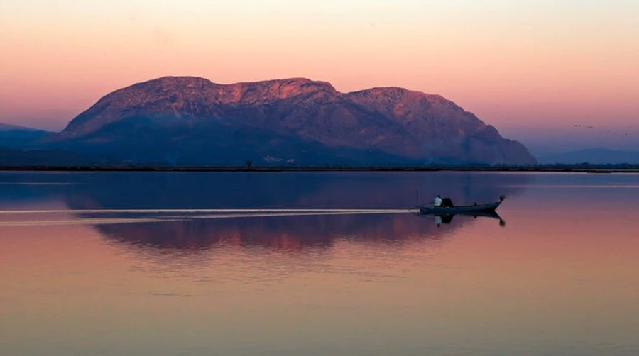 Mesolongi Lake Tour and Lunch with Local Delicacies at Bottarga Stefos