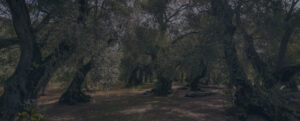cta.webp
