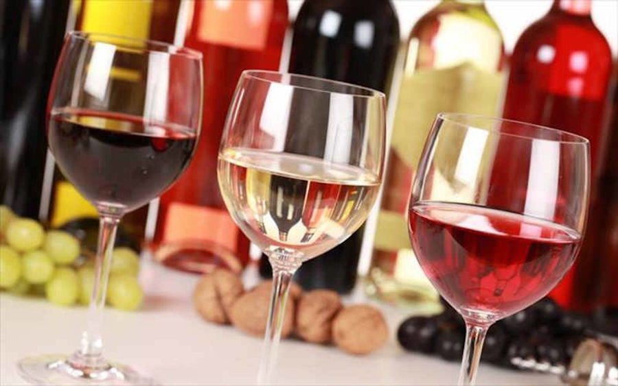 Tour, Tasting and Lunch at Domaine Anagennisi