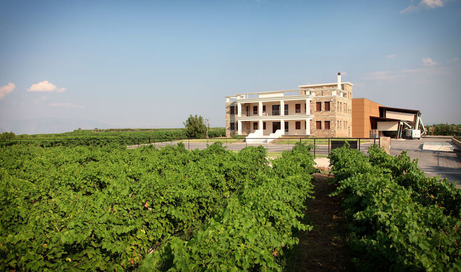 Domaine D. Migas - Gastronomy Tours Domaine D. Migas