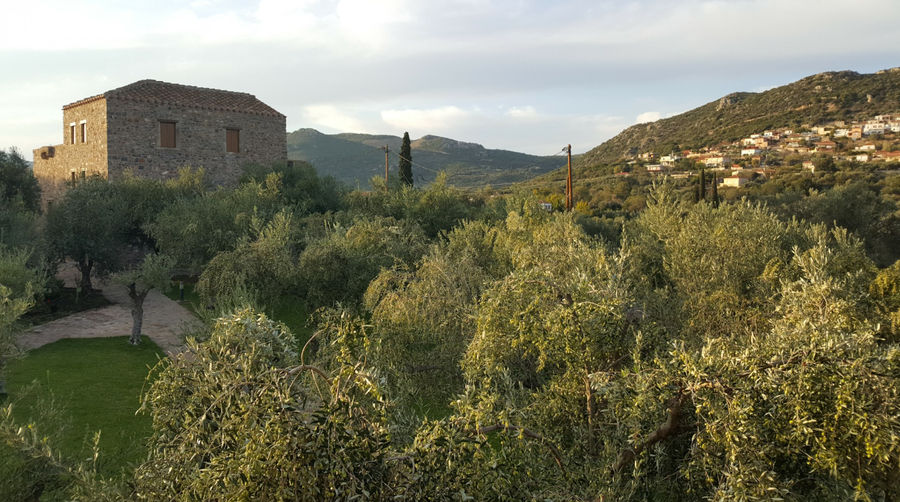 Liotrivi Estate