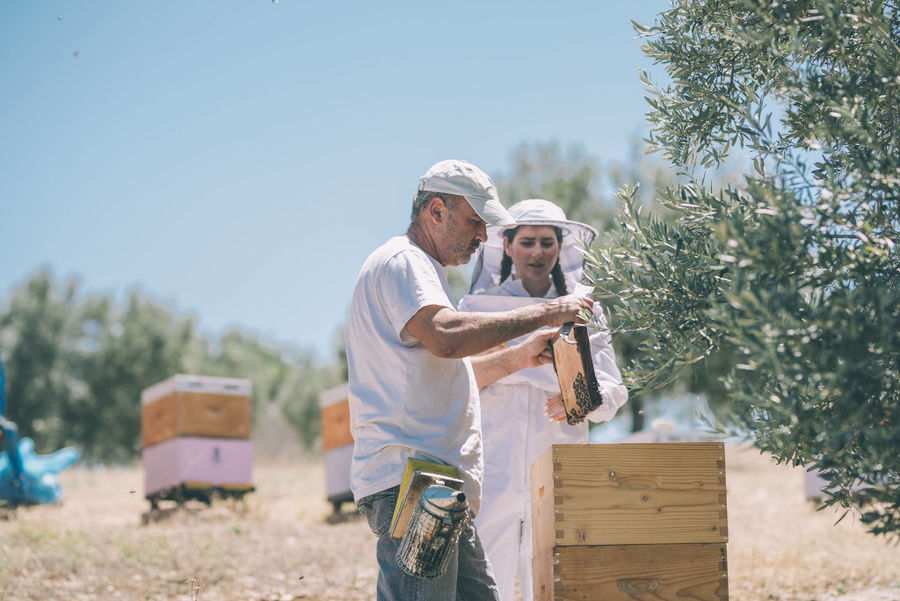 Ermionis Bairaktaris Apiary - Gastronomy Tours Ermionis Bairaktaris Apiary