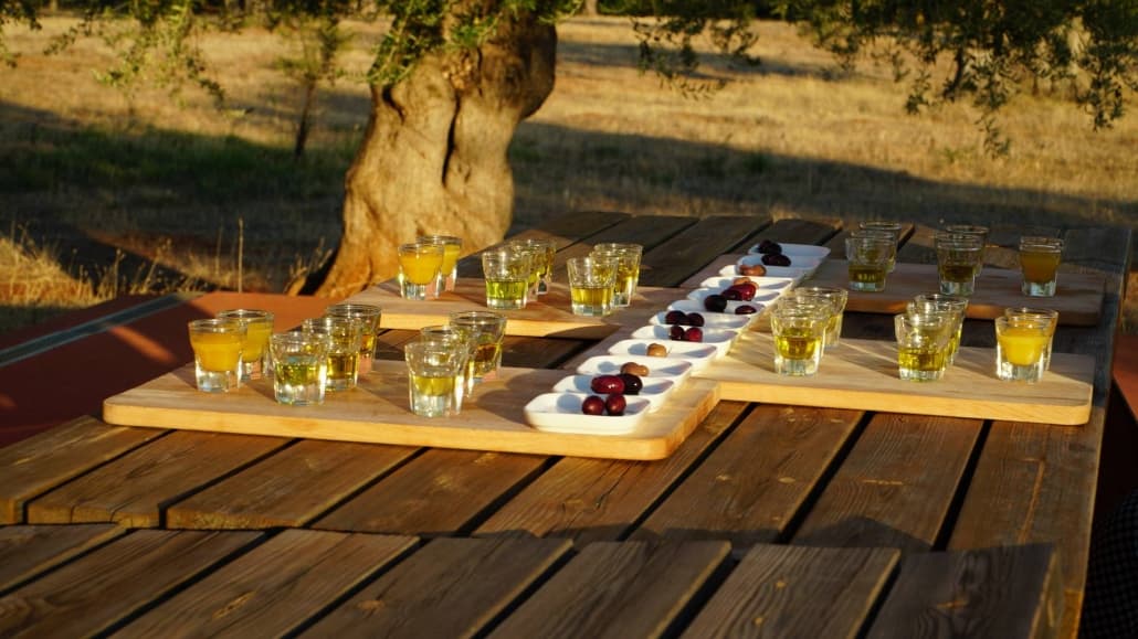 Must-Visit Olive Oil Tasting in Greece: A Culinary Experience
