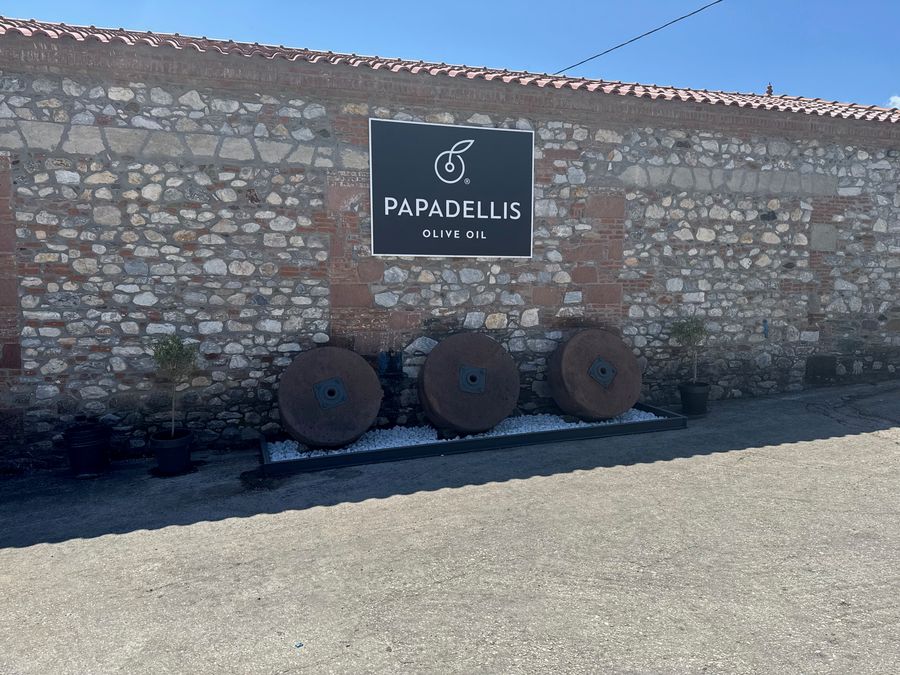 Papadellis Olive Oil - Gastronomy Tours Papadellis Olive Oil