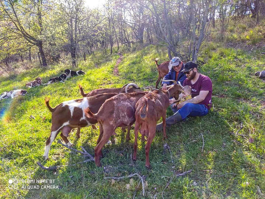 Tour and Lunch at Gralista Farm