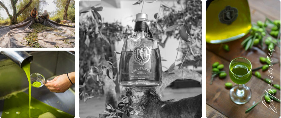 The Governor Olive Oil - Gastronomy Tours The Governor Olive Oil