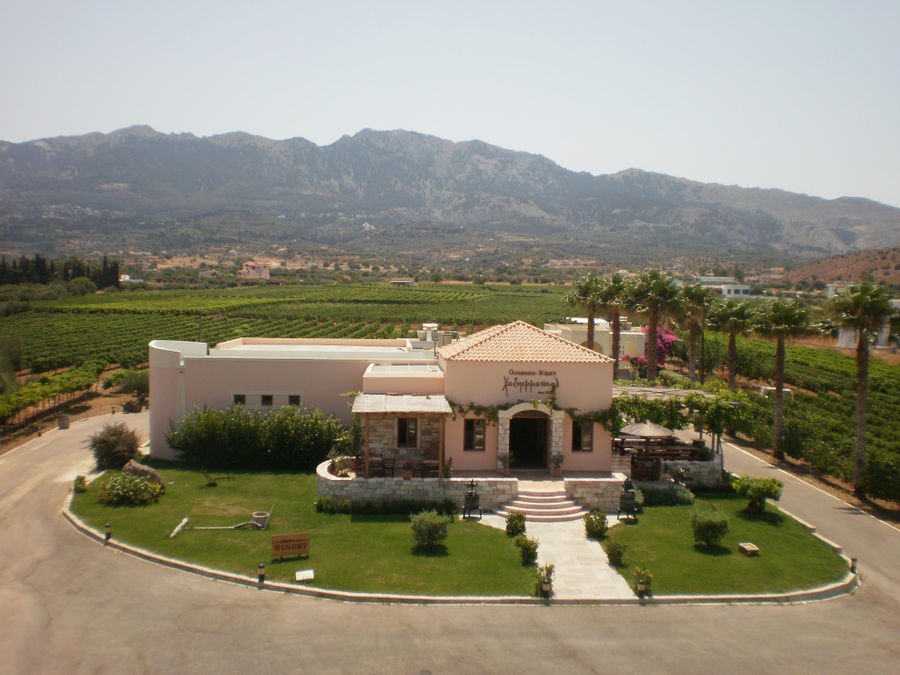 Hatziemmanouil Winery - Gastronomy Tours Hatziemmanouil Winery