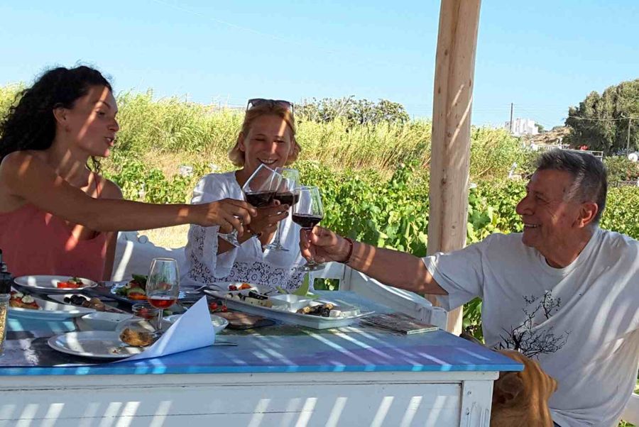 Mykonos Vioma Organic Farm