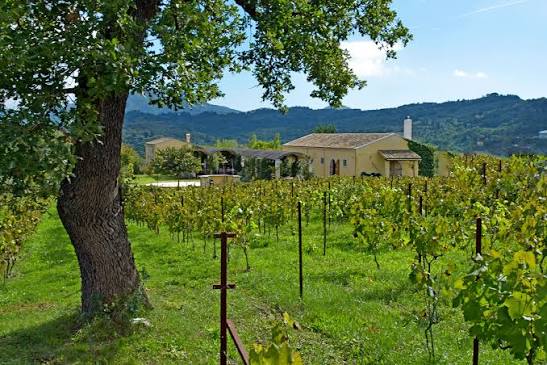 Corfu Wine Tours - Gastronomy Tours Corfu Wine Tours