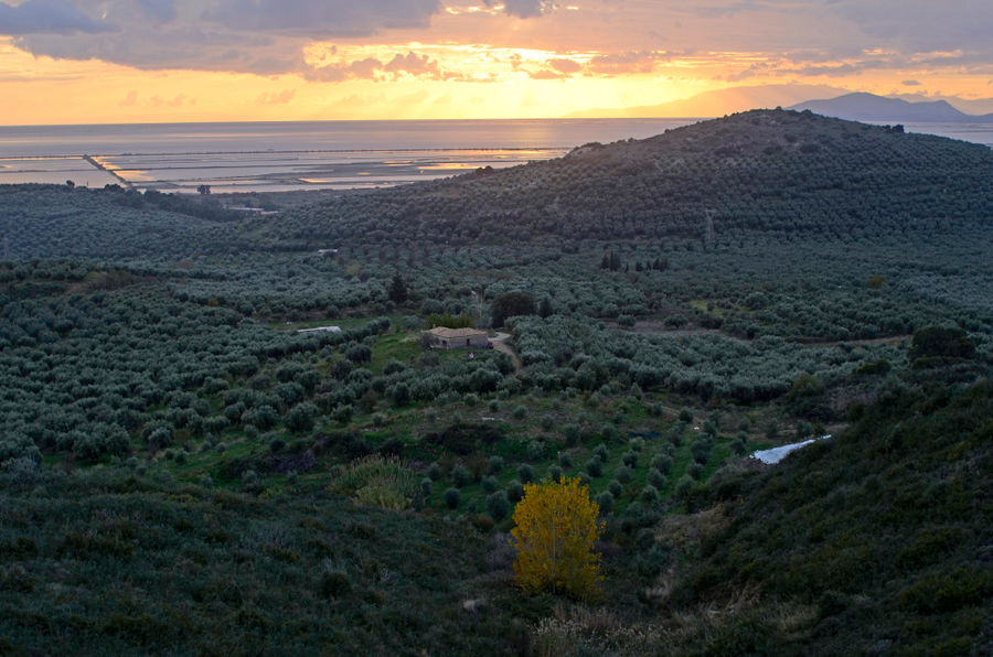 Ktima Kakkavos - Gastronomy Tours Ktima Kakkavos