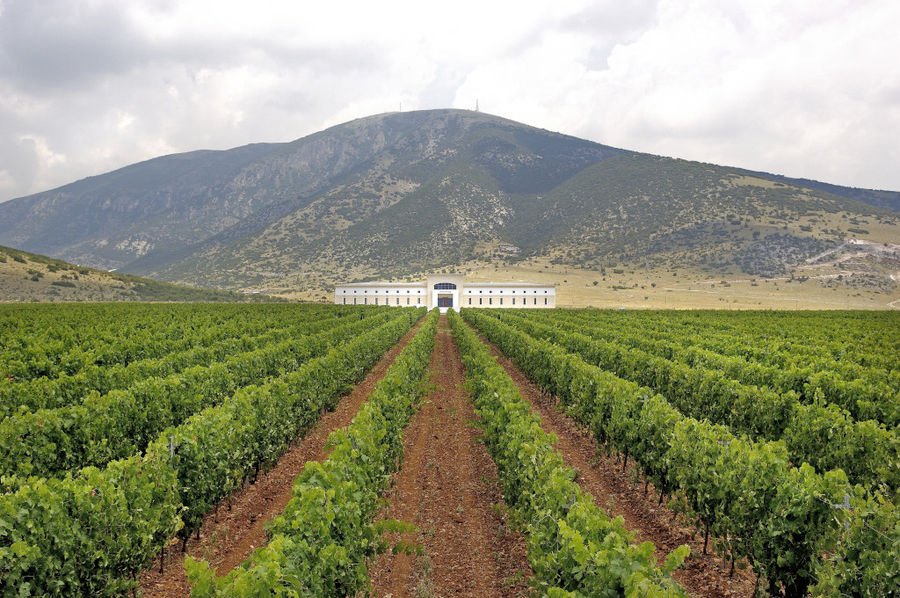 Ktima Pavlidis - Gastronomy Tours ktima pavlidis 1.jpg