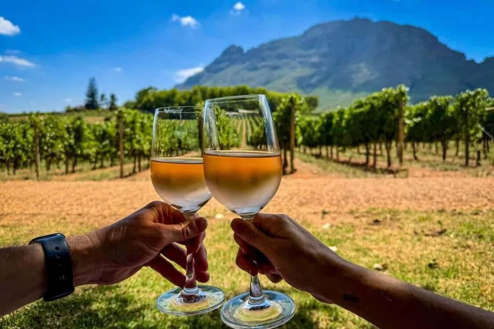 Kefalonia Wine Tours - Gastronomy Tours Kefalonia Wine Tours