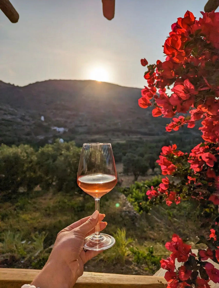 Saint Anna Winery - Gastronomy Tours Saint Anna Winery
