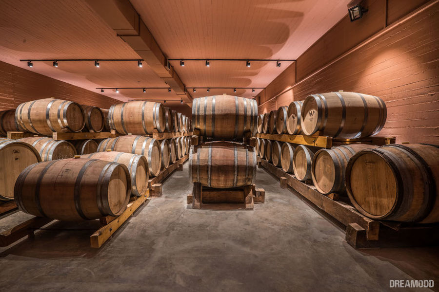 Lykos Winery - Gastronomy Tours Lykos Winery