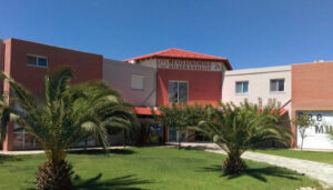 front side of 'Melissokomiki Dodekanisou Bee Museum' with small palm trees in the garden