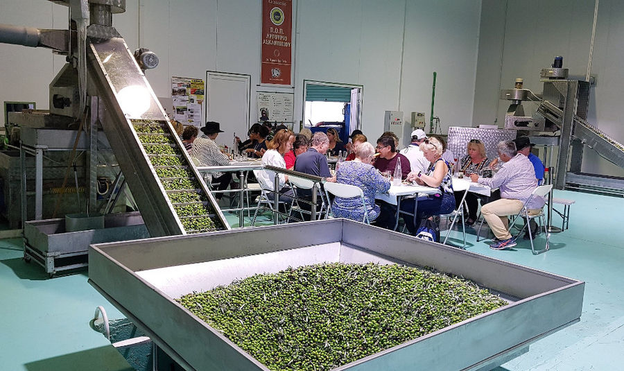 Melas Epidauros Olive Oil Domain (For groups over 10 pax) - Gastronomy Tours Melas Epidauros Olive Oil Domain (For groups over 10 pax)