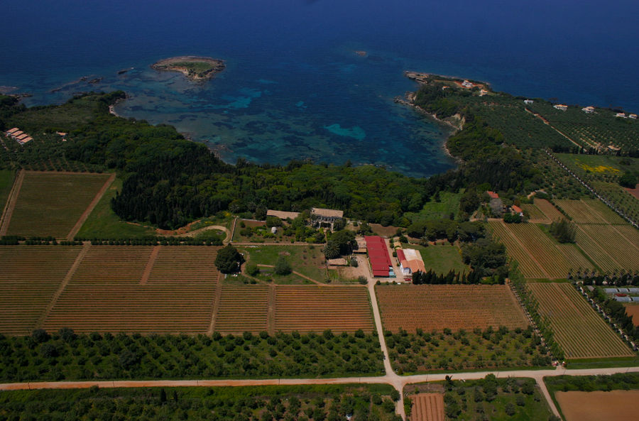 Mercouri Estate - Gastronomy Tours Mercouri Estate