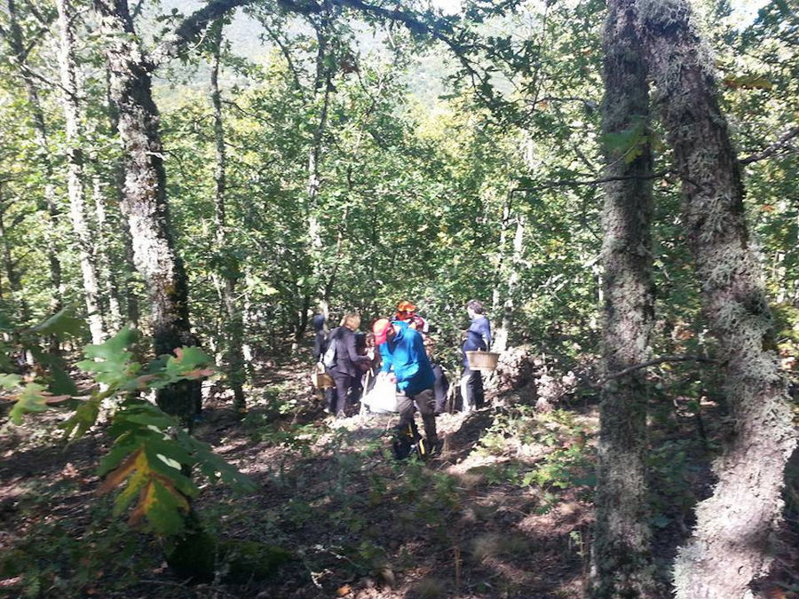 Truffle Picking – Products of Grevena