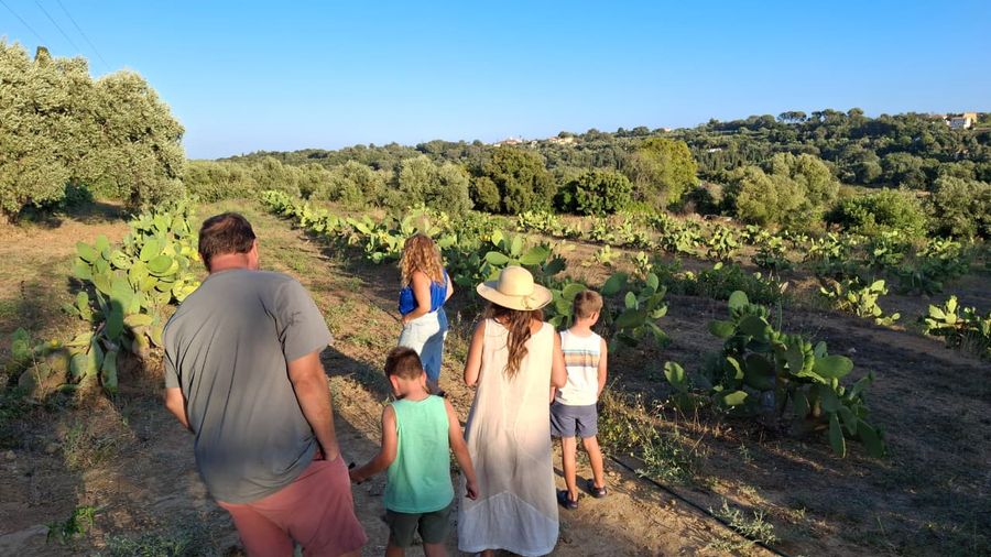 Hands-On Greek Meze Cooking at a Prickly Pear Farm in Kefalonia - Gastronomy Tours Hands-On Greek Meze Cooking at a Prickly Pear Farm in Kefalonia