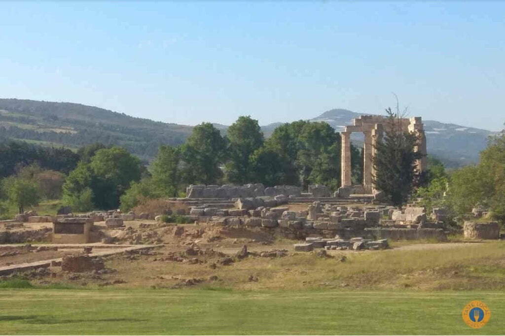 Three days in Arcadia with George, our Gastronomic Correspondent from " Taste Local Greece". - Gastronomy Tours nemea arhaia a orig 1 - Gastronomy Tours