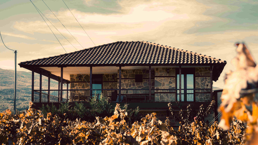 Tassionas Winery - Gastronomy Tours Tassionas Winery