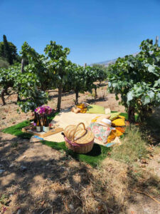 picnic2.webp