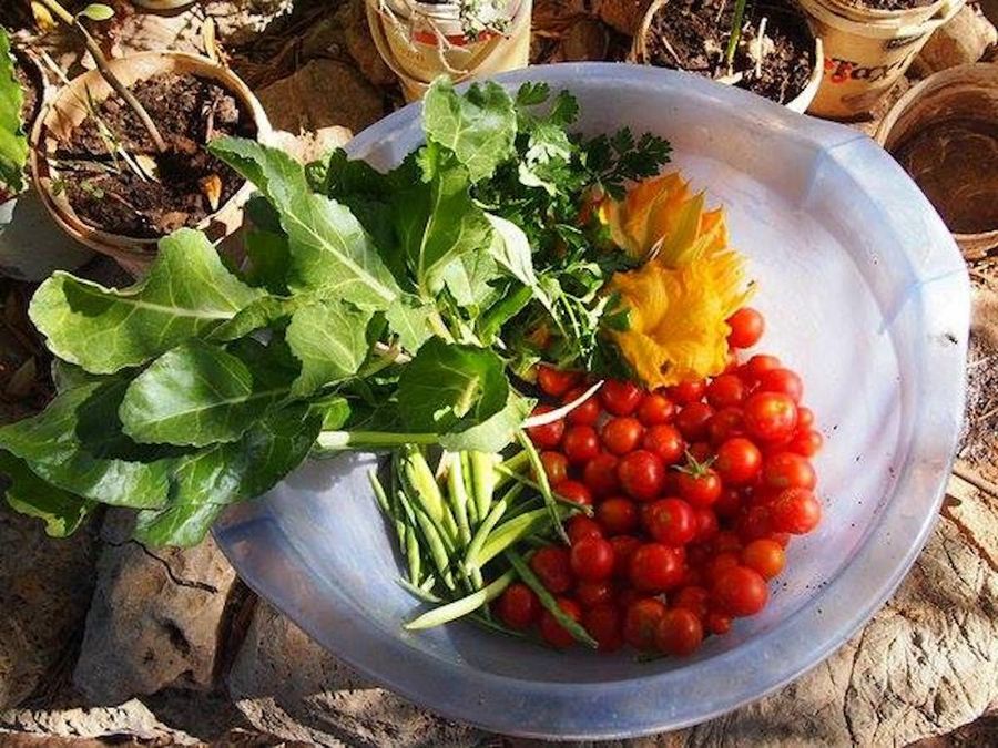 Tour, Tasting and Meal at Korogonas Ark