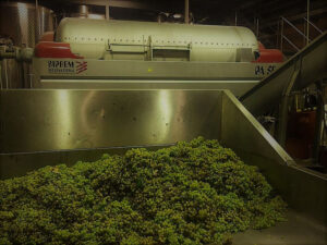 qF6jku_nikolou winery 2.jpg