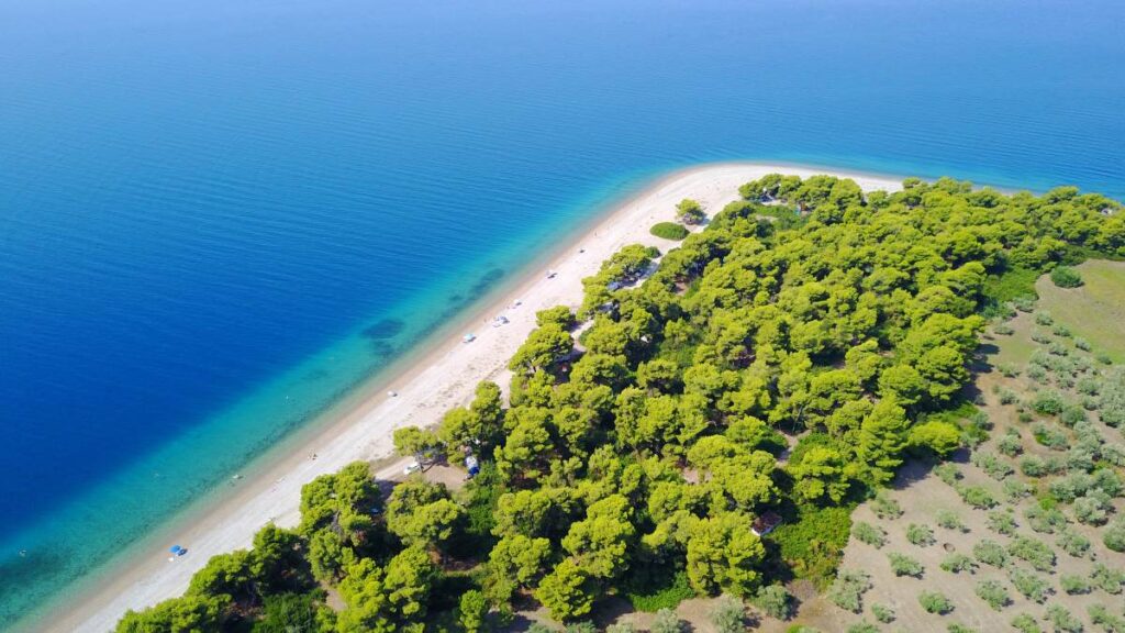 The Best Rovies Food Tours - Gastronomy Tours rovies evia exwteriki - Gastronomy Tours