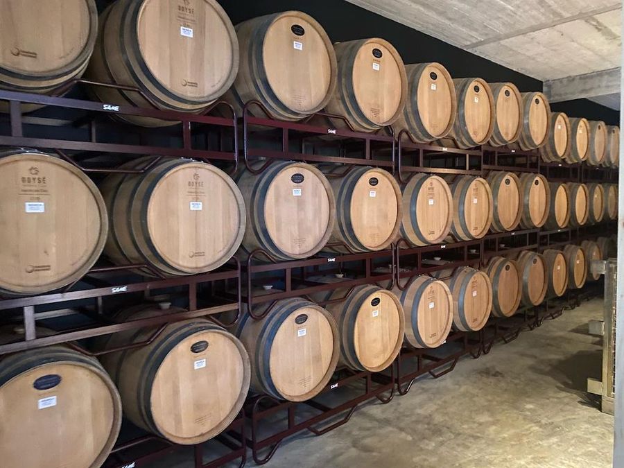 Day Tour in the Nemean Vineyards with Margo - Gastronomy Tours Day Tour in the Nemean Vineyards with Margo