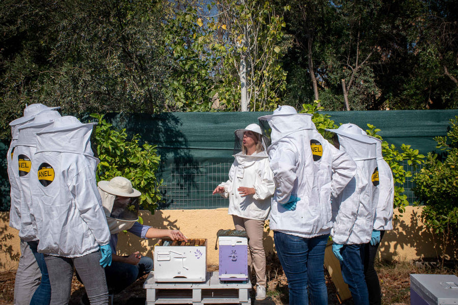 Beekeeping Experience at From A to Bee - Gastronomy Tours Beekeeping Experience at From A to Bee