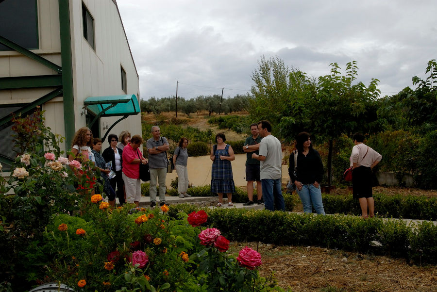 Wisdom of Nature, Organic Grape Products - Gastronomy Tours Wisdom of Nature, Organic Grape Products