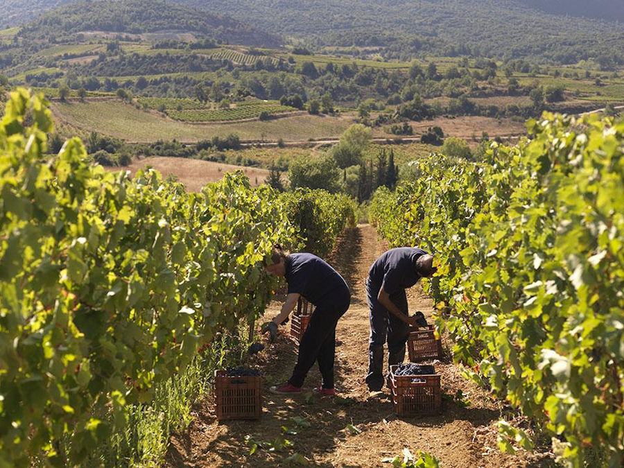 Strofilia - Gastronomy Tours Strofilia